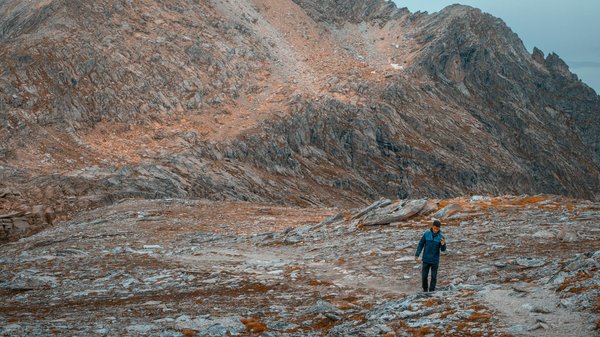 Quels sont les meilleurs spots pour observer les gorilles en Ouganda?