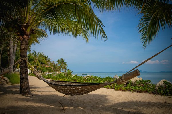 Comment organiser une expédition en montgolfière au-dessus des dunes de Namibie?